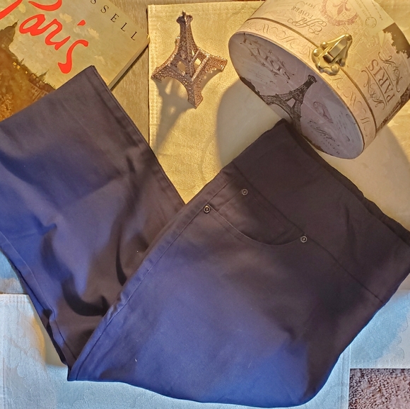 Chadwicks Pants - Chadwicks Comfort waist pull-on navy capris